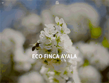 Tablet Screenshot of fincaayala.com